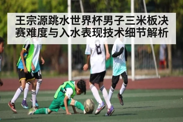 王宗源跳水世界杯男子三米板决赛难度与入水表现技术细节解析